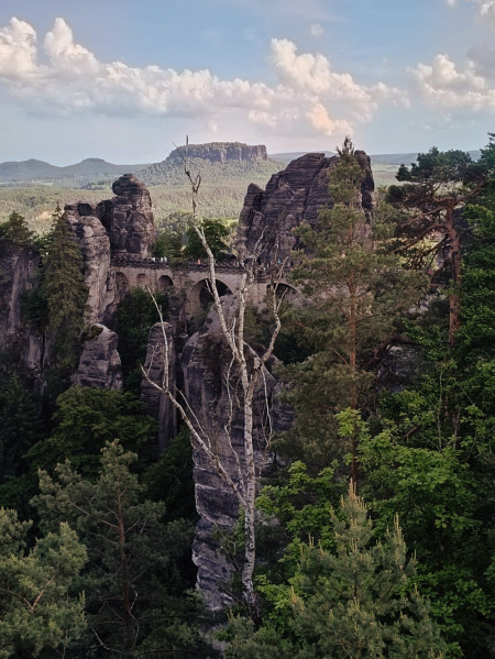 Frauenausflug ins Elbsandsteingebirge